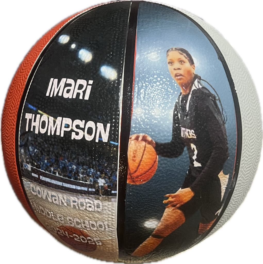 Custom Panel Basketball